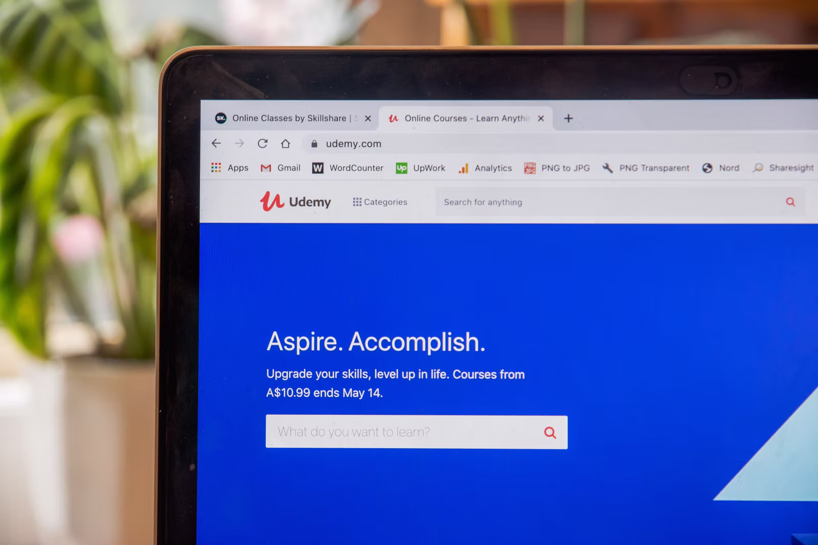 How Udemy is open for collaborations?